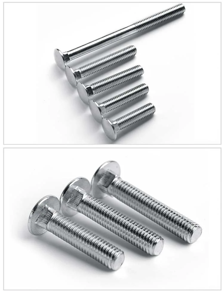 Galvanized & Stainless Steel SUS304/316 (A2/A4) Round Head Square Neck Carriage Bolts